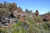 BIF outcropping on the Range.  Photo by Amanda Keesing - Helena and Aurora Range (Bungalbin)