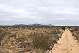 Profile of Helena and Aurora Range (Bungalbin) seen from the north track through the sandplain.  Photo by Laura Corbett - Helena and Aurora Range (Bungalbin)