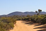Closer view of Bungalbin Hill from track travelling from the south through sandplain. - Helena and Aurora Range (Bungalbin)