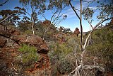 Outcrops and flowering in Spring 2015.  Photo by Rob Neave - Helena and Aurora Range (Bungalbin)